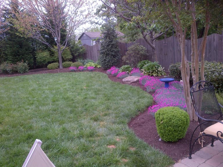 Curved planting beds and lawn shaping a back yard, showing bed layout and seasonal plant colour